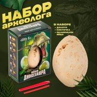 Набор археолога &laquo;Стегоцерас&raquo;, серия &laquo;Окаменелое яйцо динозавра&raquo;