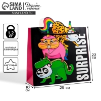 Пакет подарочный, упаковка, &laquo;Surpprise&raquo;, 25 х 26 х 10 см