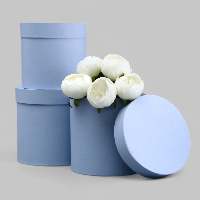 Набор шляпных коробок 3 в 1 серо-голубой, 21,5 х 22 - 18,5 х 19 см Набор шляпных коробок 3 в 1 серо-голубой, 21,5 х 22 - 18,5 х 19 см