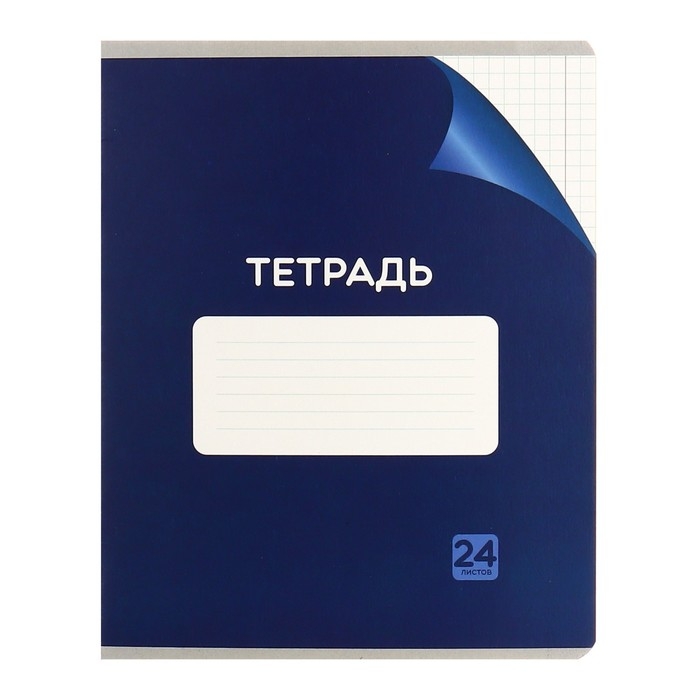 Комплект тетрадей из 10 штук, 24 листа в клетку Calligrata Комплект тетрадей из 10 штук, 24 листа в клетку Calligrata "Однотонная Классика с уголком. Эконом", обложка мелованный картон, ВД-лак, блок №2, белизна 75% (серые листы), 5 видов по 2 штуки