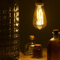 Лампа накаливания винтажная "Ретро", ST64, 60 Вт, Е27, 230 В, 145х64 мм, теплый белый Лампа накаливания винтажная "Ретро", ST64, 60 Вт, Е27, 230 В, 145х64 мм, теплый белый