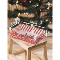 Коробка подарочная с PVC крышкой &laquo;Подарок&raquo;, 20 х 30 х 8 см, Новый год