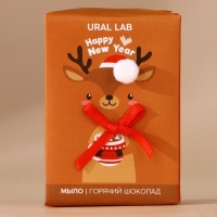 Подарочный набор URAL LAB &laquo;Волшебные истории&raquo;, мыло для рук кусковое 100 г и мочалка для тела, Новый Год