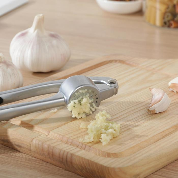 Пресс для чеснока Доляна &laquo;Идея&raquo;, 16,5 см