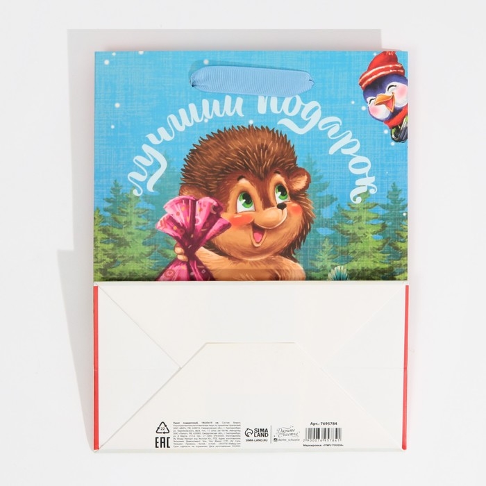 Пакет подарочный новогодний ламинированный &laquo;Лучший подарок&raquo;, MS 18 х 23 х 10 см, Новый год