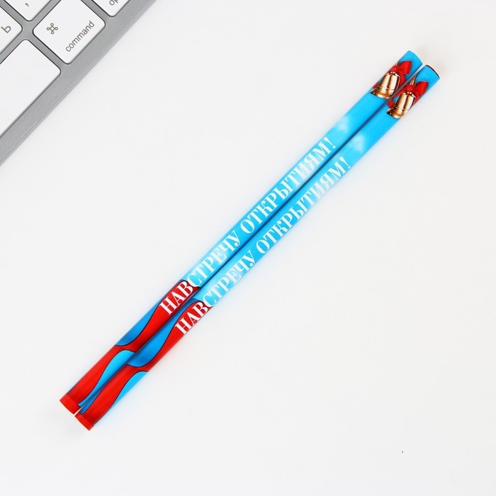 Подарочный набор на выпускной &laquo;Удачи тебе выпускник&raquo; блокнот,ластик, 2 карандаша HB, значок,линейка