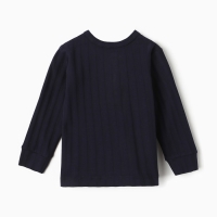 Лонгслив детский, цвет тёмно-синий, рост 74 см Лонгслив детский, цвет тёмно-синий, рост 74 см