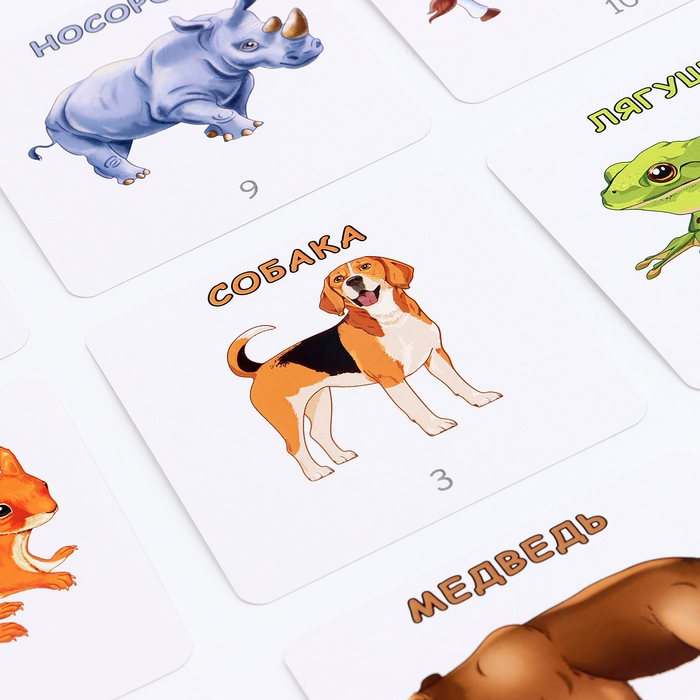 Набор карточек &laquo;Да или нет. Животные&raquo;