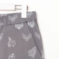 Пижама мужская KAFTAN "Tiger" размер 52