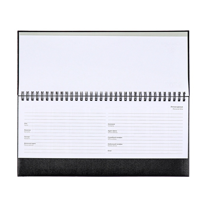 Планинг датированный 2025 года, 64 листа, Attomex. Orion, твердая обложка бумвинил с поролоном, тиснение фольгой, блок 70 г/м2, чёрный, 294 х 142мм