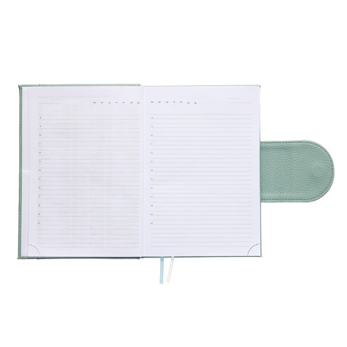 Ежедневник недатированный A5, 160 листов, deVENTE.Contea, твёрдая обложка из искусственной кожи с поролоном, блок 70 г/м2, бирюзовый