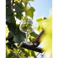 Бокал для вина Chef&Sommelier OPEN UP, 320 мл, стекло Бокал для вина Chef&Sommelier OPEN UP, 320 мл, стекло