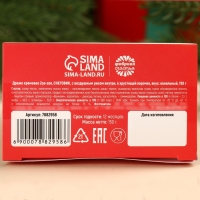 Подарочные шоколадные конфеты &laquo;Новогодняя почта&raquo;, 150 гр