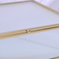 Органайзер для хранения «RIPPLES», с крышкой, стеклянный, с зеркальным дном, 1 секция, 20 × 16 × 6,5 см, цвет прозрачный/медный Органайзер для хранения «RIPPLES», с крышкой, стеклянный, с зеркальным дном, 1 секция, 20 × 16 × 6,5 см, цвет прозрачный/медный