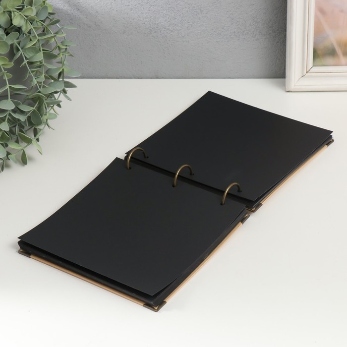 Фотоальбом на кольцах 30 листов Фотоальбом на кольцах 30 листов "Модницы с котенком" чёрные листы 18х18 см