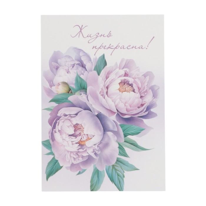 Набор мини-открыток Набор мини-открыток "Цветы" 7,6 х 10,6 см