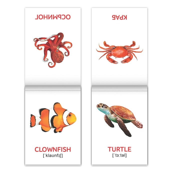 Книги набор &laquo;Карточки Домана на английском языке&raquo;, 8 шт. по 24 стр.