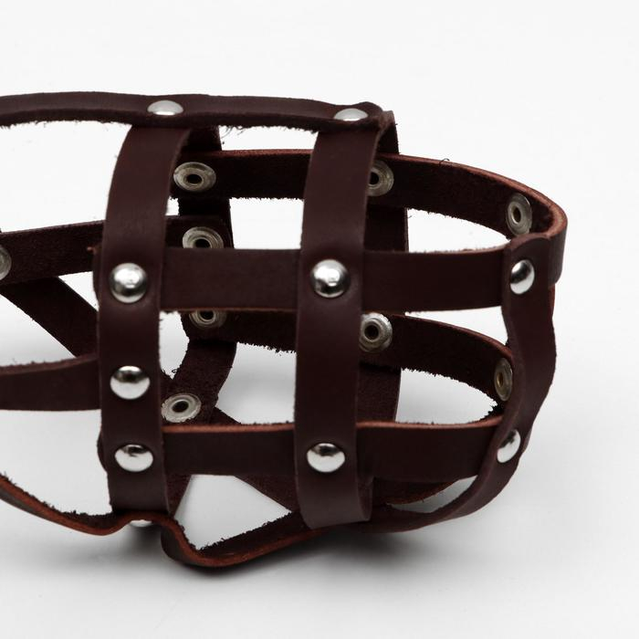 Намордник № 2, длина по носу 10 см, обхват морды 28 см, (лайка, щенок овчарки), коричневый Намордник № 2, длина по носу 10 см, обхват морды 28 см, (лайка, щенок овчарки), коричневый