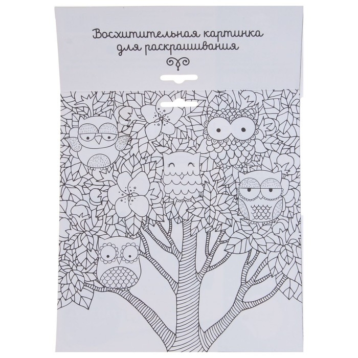 Набор для творчества. Фреска песком &laquo;Магическая сова&raquo;