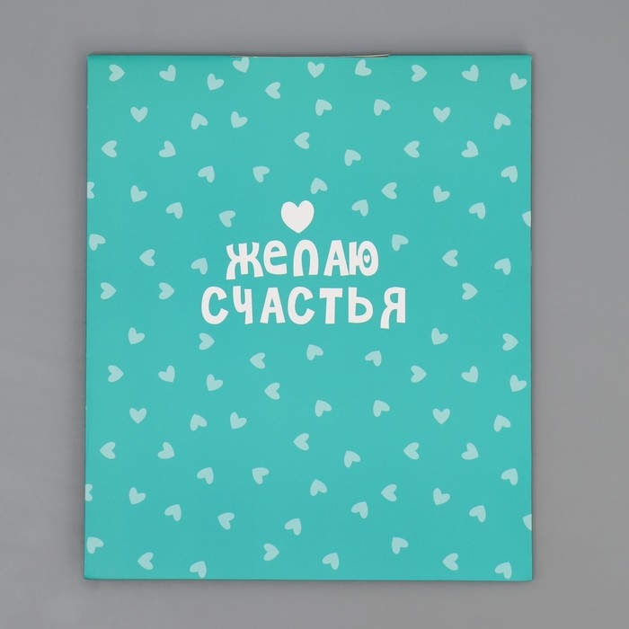 Пакет подарочный с формовым клапаном, упаковка, &laquo;Желаю счастья&raquo;, 23 х 27 х 11.5 см