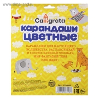 Карандаши 24 цвета, корпус деревянный, треугольный, в картонной коробке Карандаши 24 цвета, корпус деревянный, треугольный, в картонной коробке