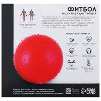 Фитбол ONLYTOP, d=55 см, 800 г, массажный, цвета МИКС Фитбол ONLYTOP, d=55 см, 800 г, массажный, цвета МИКС