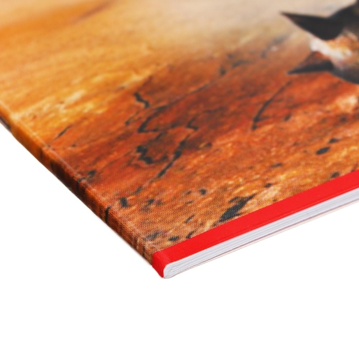 Альбом для рисования A4, 16 листов "Дизельпанк", обложка мелованный картон, блок 100 г/м2, МИКС