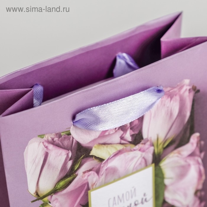 Пакет подарочный ламинированный вертикальный, упаковка, «Самой Нежной на свете», ML 23 х 27 х 11,5 см Пакет подарочный ламинированный вертикальный, упаковка, «Самой Нежной на свете», ML 23 х 27 х 11,5 см