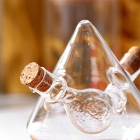 Бутыль стеклянная для соусов и масла 2 в 1 &laquo;Фьюжн. Птица&raquo;, 350/30 мл, 12&times;10&times;11 см