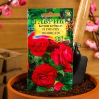 Семена комнатных цветов Бегония "Гоу-гоу", ц/п,  вишневая, F1, 4 шт.