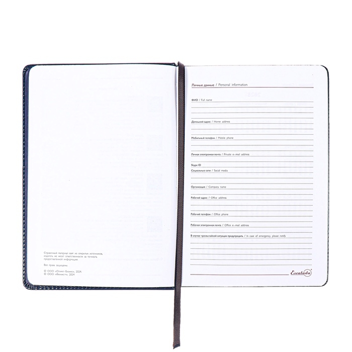 Ежедневник датированный 2025 года, ESCALADA, A5 176 листов, твердая обложка кожзам с поролоном, блинтовое тиснение, перфорация на обложке, блок 70 г/м2, синий