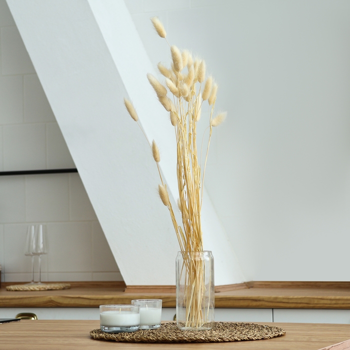 Сухоцветы &laquo;Лагурус&raquo;, набор 30 шт., цвет белый