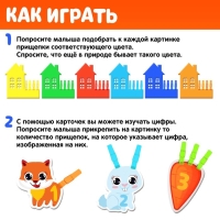 Развивающая игра с прищепками &laquo;Цвета и цифры&raquo;, по методике Монтессори
