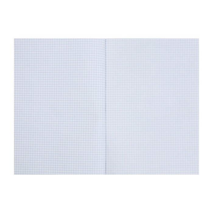 Тетрадь А4, 80 листов, в клетку New Line, МИКС Тетрадь А4, 80 листов, в клетку New Line, МИКС