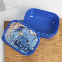 Ланч-бокс прямоугольный &laquo;Красота в деталях&raquo;, 500 мл