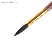 Кисть белка, круглая № 6, "Гамма" Кисть белка, круглая № 6, "Гамма"