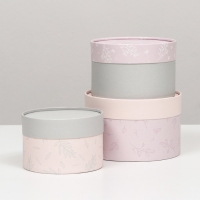 Набор шляпных коробок 3 в 1 "Пастель", завальцованная, 16 х 10, 14 х 9, 13 х 8,5 см Набор шляпных коробок 3 в 1 "Пастель", завальцованная, 16 х 10, 14 х 9, 13 х 8,5 см