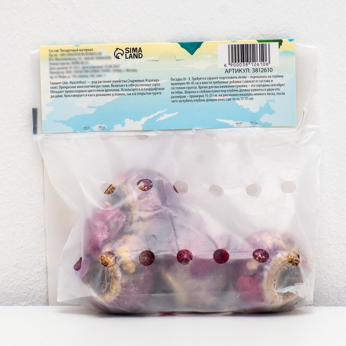 Гиацинт восточный Блю Стар, р-р 14/15, 4 шт, Осень 2024 Гиацинт восточный Блю Стар, р-р 14/15, 4 шт, Осень 2024