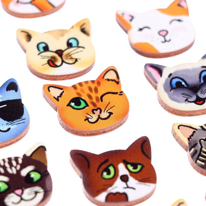 Мемо &laquo;Забавные котята&raquo;