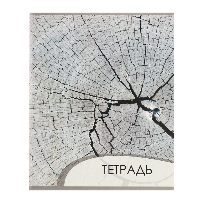 Комплект тетрадей из 4 штук, 96 листов в клетку Calligrata Комплект тетрадей из 4 штук, 96 листов в клетку Calligrata "Текстура 2", обложка мелованный картон, блок офсет