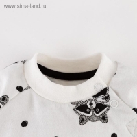 Комплект: джемпер и брюки Крошка Я &laquo;Еноты&raquo;, рост 68-74 см