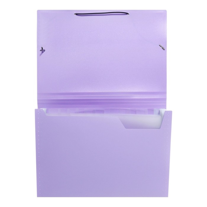 Папка картотека А4, Calligrata Папка картотека А4, Calligrata "Акварель", 13 отделений, пластиковая, 700 мкм, лавандовая, резинка чёрная