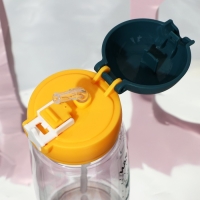 Бутылка для воды &laquo;Иду гулять в любую погоду&raquo;, 750 мл