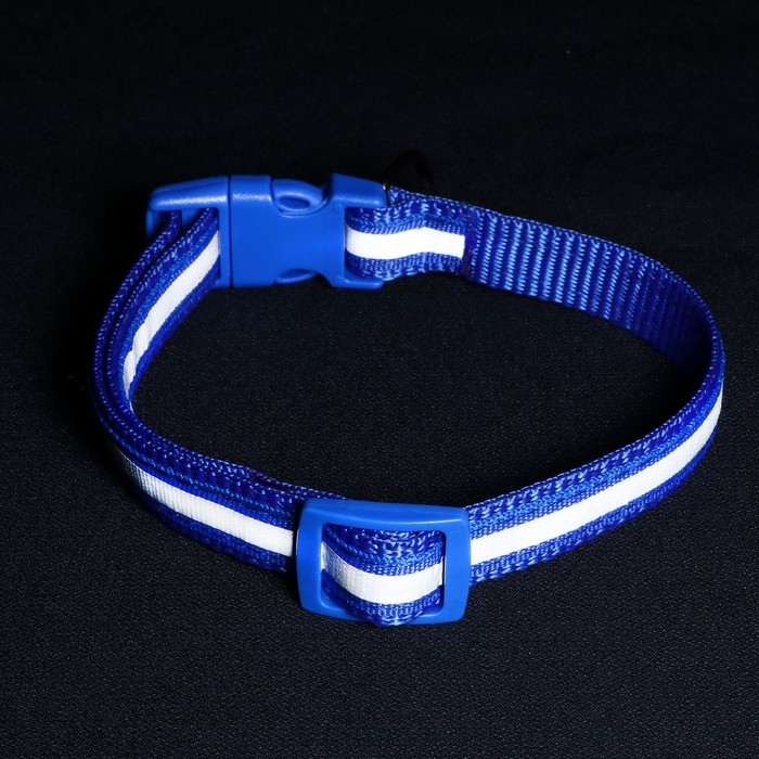 Ошейник двухслойный с фастексом и светоотражающей полосой, 30 х1,5 см, синий Ошейник двухслойный с фастексом и светоотражающей полосой, 30 х1,5 см, синий