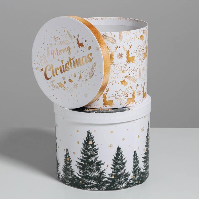 Набор подарочных коробок 5 в 1 &laquo;Белое золото&raquo;, 13 х 14‒19.5 х 22 см, Новый год