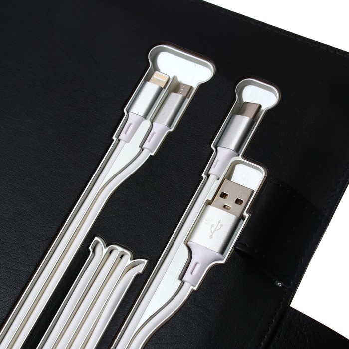 Органайзер на кольцах,ПВХ, А5,140 л,клетка,с ручкой,подар короб,сканер пальца,зарядка,Черный Органайзер на кольцах,ПВХ, А5,140 л,клетка,с ручкой,подар короб,сканер пальца,зарядка,Черный