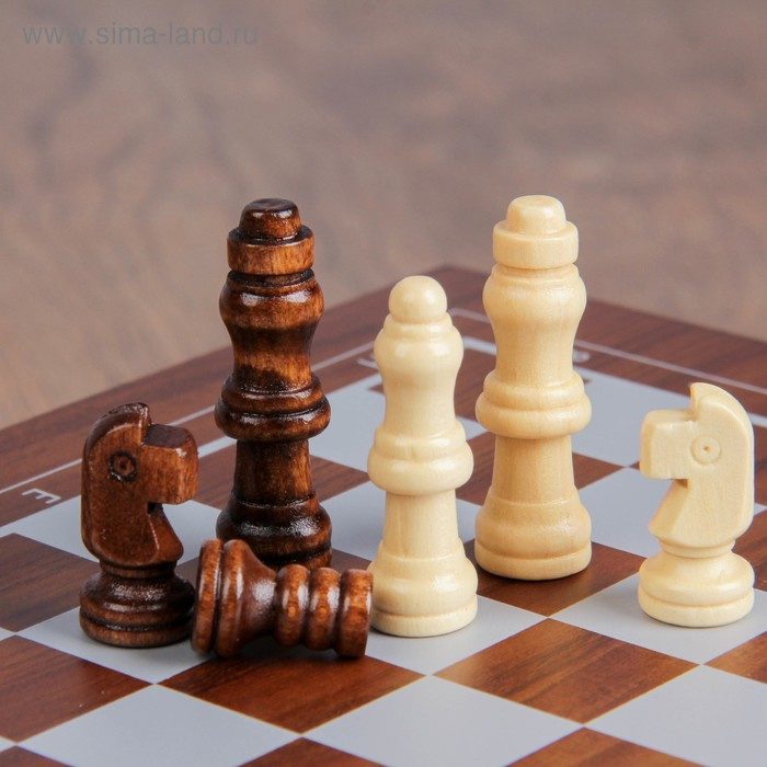 Шахматы, покер, настольные игры, подарочный набор 4 в 1, 24 х 24 см Шахматы, покер, настольные игры, подарочный набор 4 в 1, 24 х 24 см