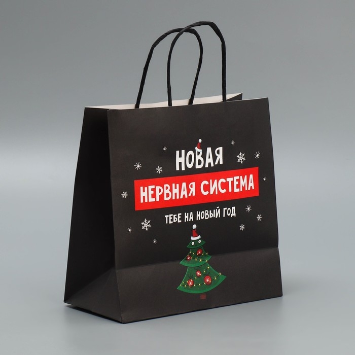 Пакет подарочный новогодний крафтовый «Нервы», 22 х 22 х 11 см, Новый год Пакет подарочный новогодний крафтовый «Нервы», 22 х 22 х 11 см, Новый год
