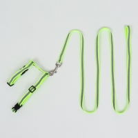 Комплект для кошек светоотражающий,ширина 1 см,шлейка 21-35 см,поводок 120 см, зелёный Комплект для кошек светоотражающий,ширина 1 см,шлейка 21-35 см,поводок 120 см, зелёный