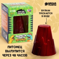 Набор для творчества &laquo;Вырасти своего питомца&raquo; Динозавр